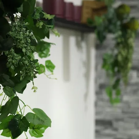 2nd Floor - Holiday House Apartment